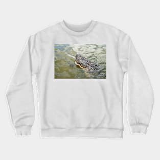 Crocodilian Crewneck Sweatshirt